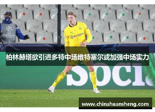 柏林赫塔欲引进多特中场维特塞尔或加强中场实力